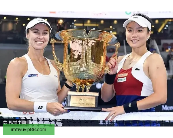 IM体育平台详解：新手如何安全便捷地进行体育投注指南