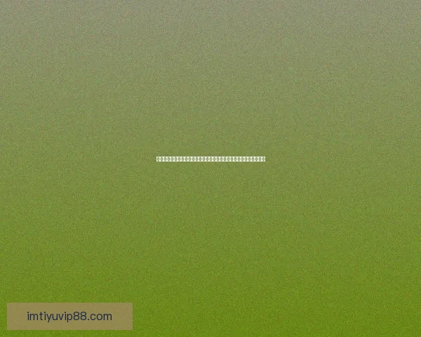 世界杯在线投注指南深度解析提升投注技巧掌握赛事动态助力精准预测