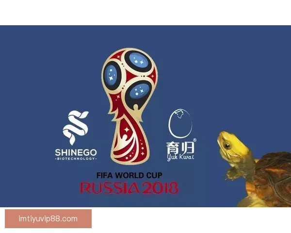 世界杯精彩竞猜攻略全解析助你轻松赢取丰厚奖励