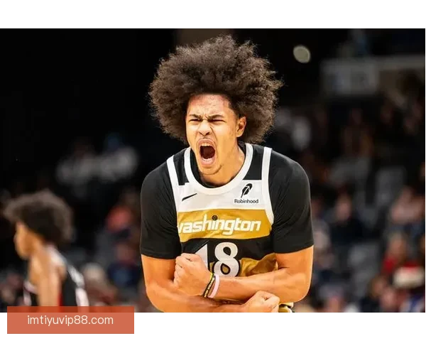 奇才球员凯肖恩乔治左肘尺侧副韧带二级撕裂复查在即